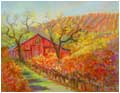 Autumn Vineyard