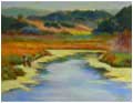 Wetland Patterns
